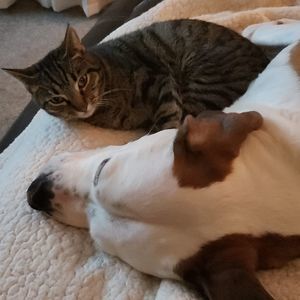 Meet your Posher, Paula